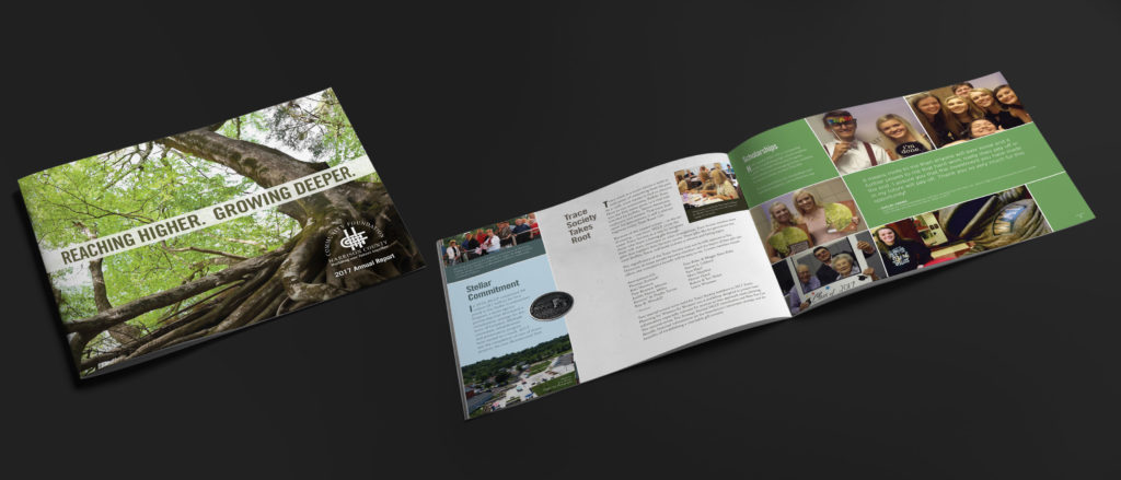 Idealogy HCCF 2017 Annual Report